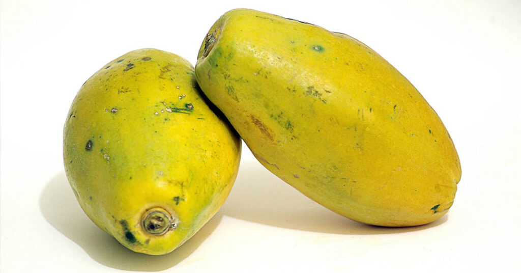 Papaya benefits in hindi, Papaya benefits For Hair, Papaya benefits For Skin