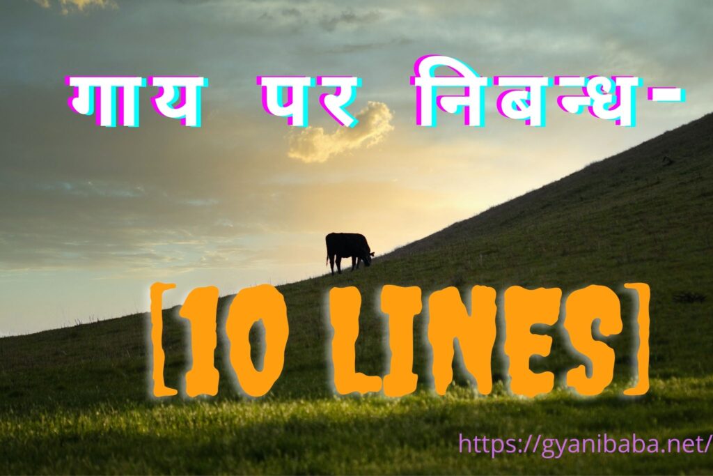 Cow Essay in Hindi | cow essay in hindi 10 lines