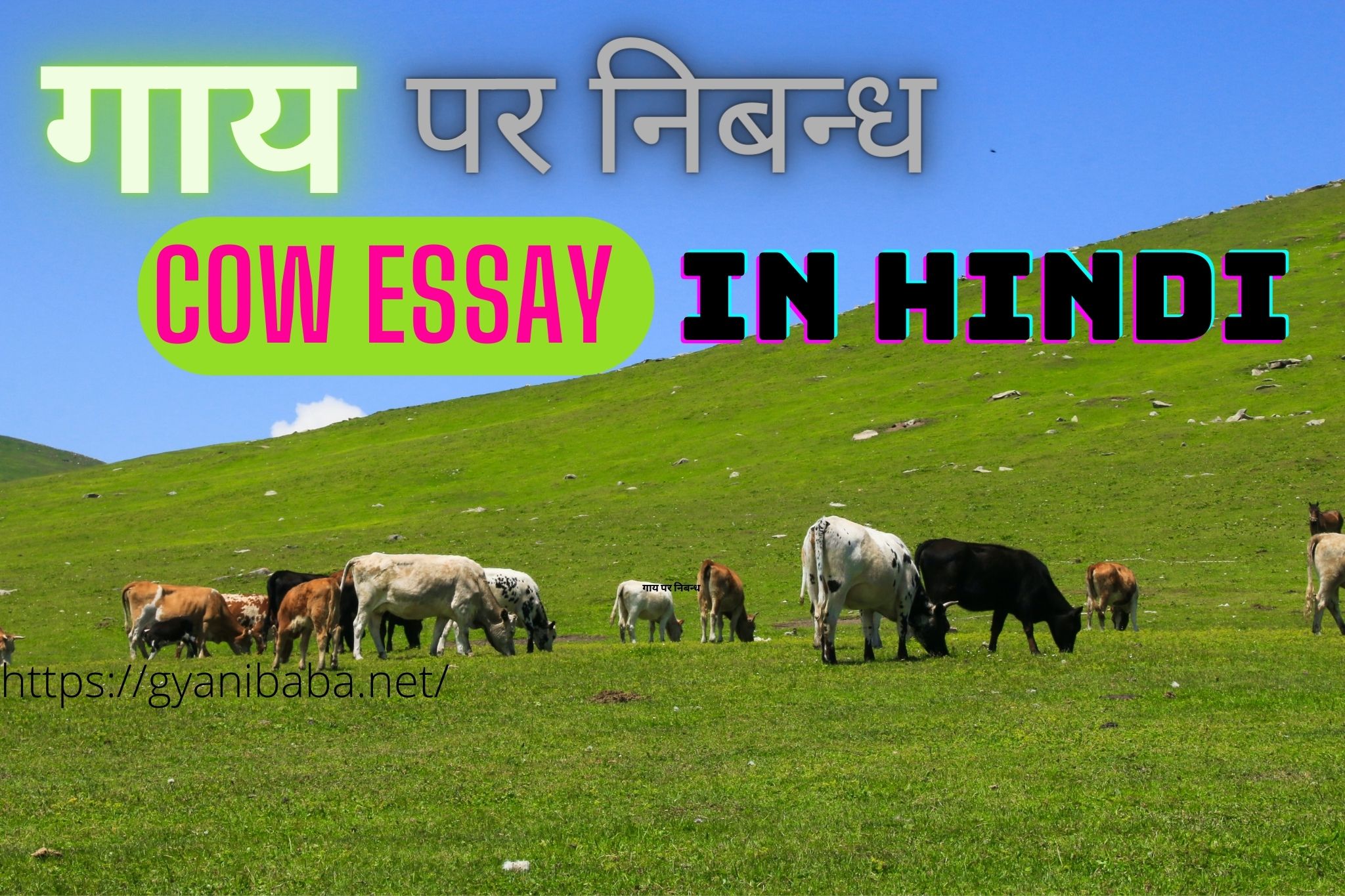 cow par essay in hindi
