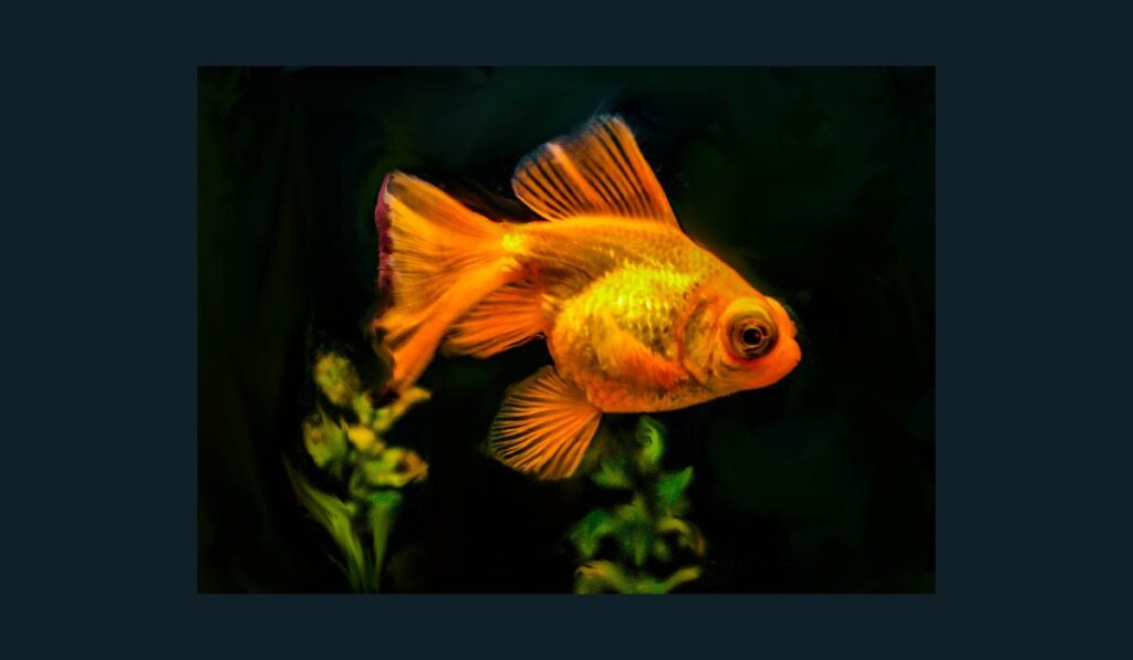 Telescope Goldfish
