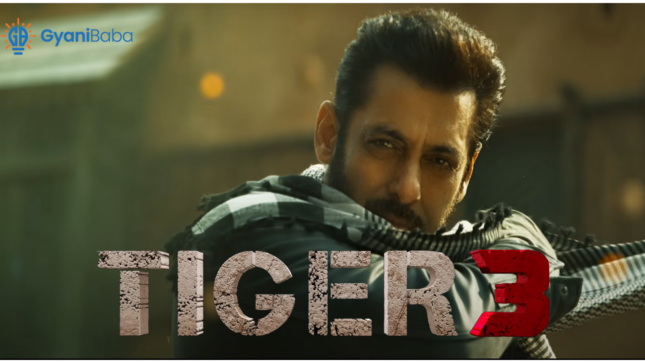 सलमान खान की Tiger 3 Movie Review दिवाली का एक शानदार नजारा जिसे आप मिस ...