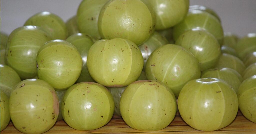 Ayurvedic benefits of amla, benefits of amla